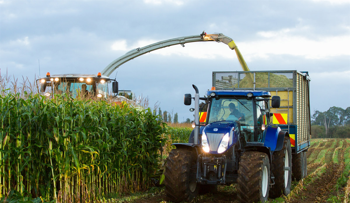 Rural Business accounting in Hastings