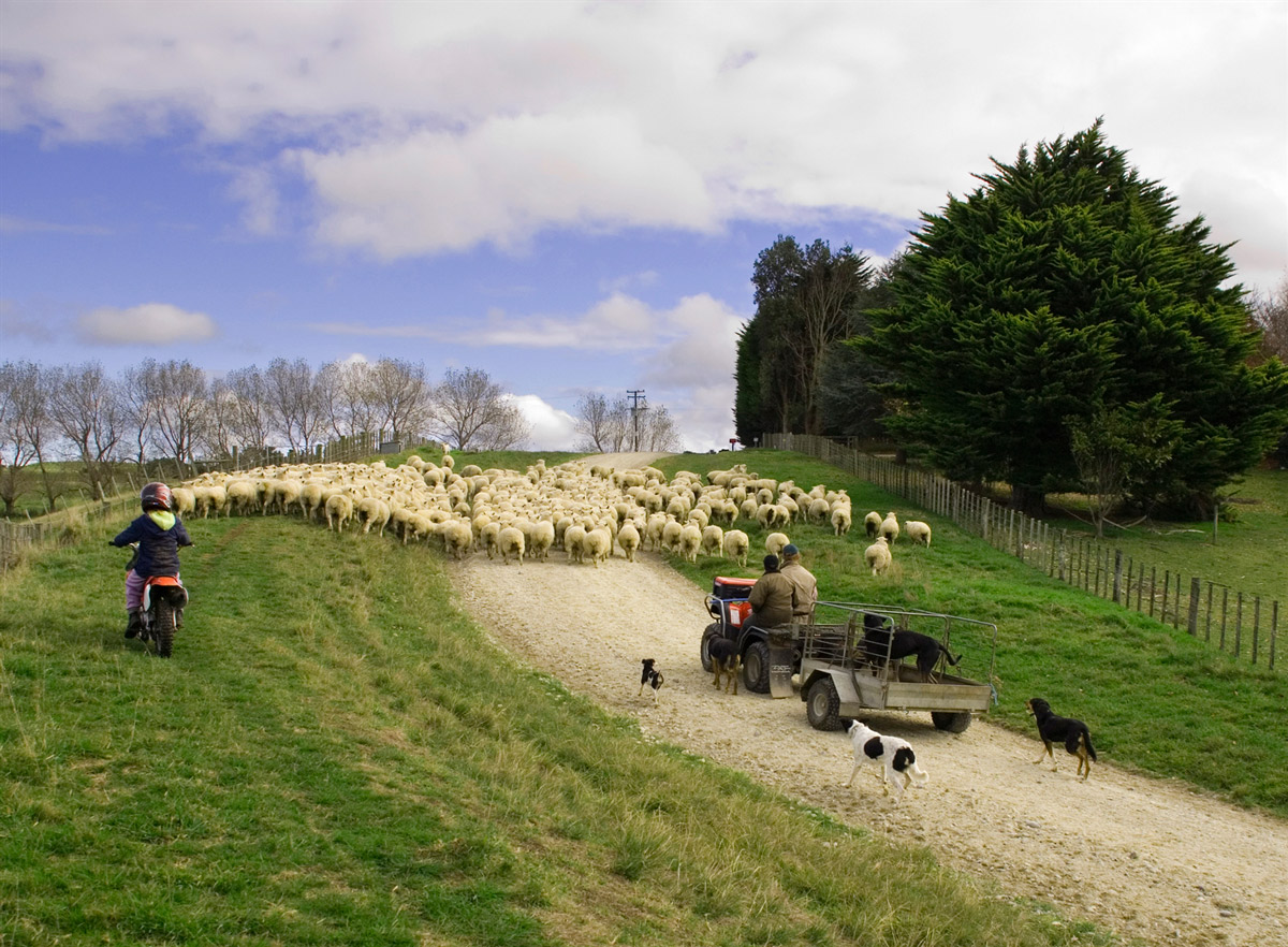 Rural new zealand farming accounting packages