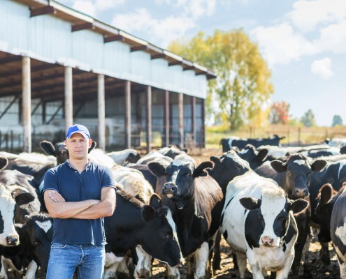 Dairy farm accounting packages