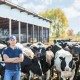 Dairy farm accounting packages