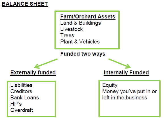 Balance sheet